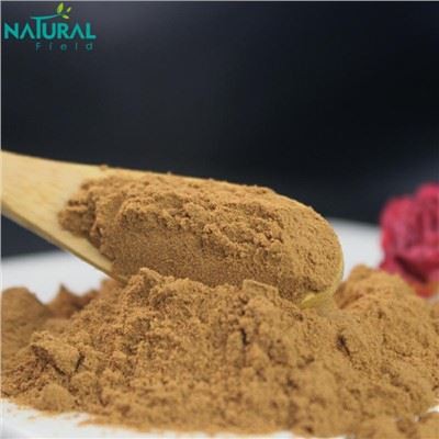 아프리카 피지움 추출물